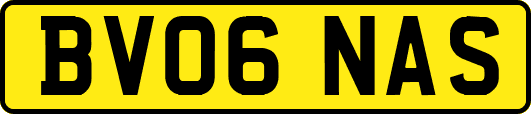 BV06NAS
