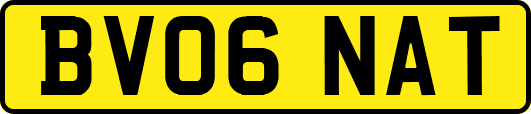 BV06NAT