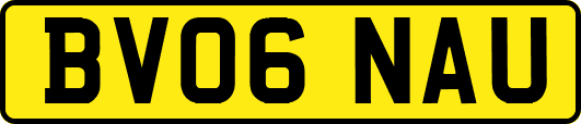 BV06NAU