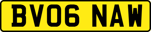 BV06NAW