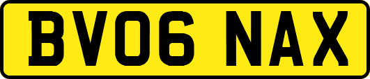 BV06NAX