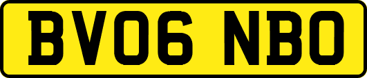 BV06NBO