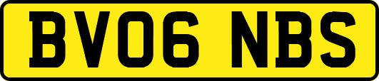 BV06NBS