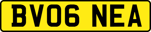 BV06NEA