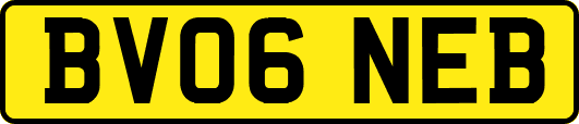 BV06NEB