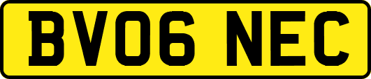 BV06NEC