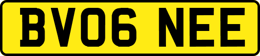 BV06NEE