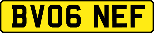 BV06NEF