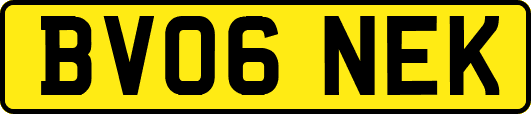 BV06NEK