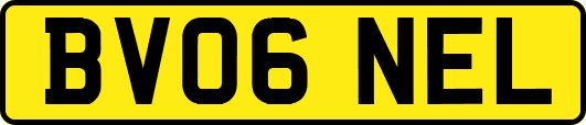 BV06NEL