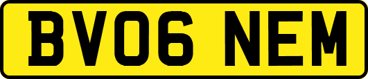 BV06NEM