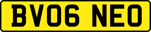 BV06NEO