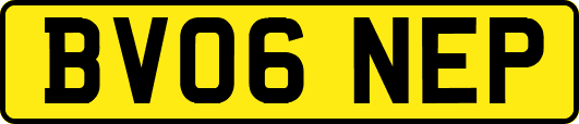 BV06NEP