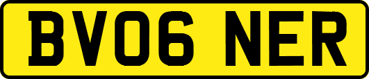 BV06NER