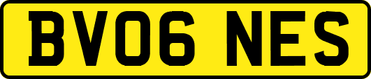BV06NES