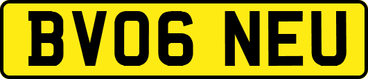 BV06NEU