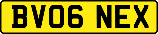 BV06NEX