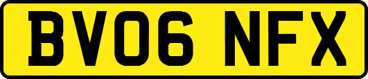 BV06NFX