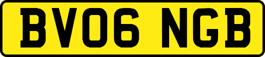 BV06NGB