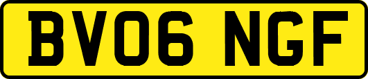 BV06NGF