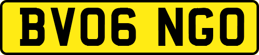 BV06NGO
