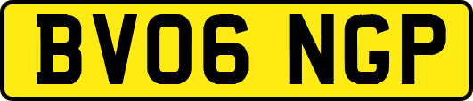 BV06NGP