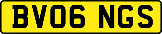 BV06NGS