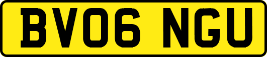 BV06NGU