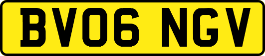 BV06NGV