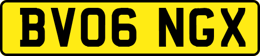 BV06NGX