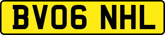 BV06NHL