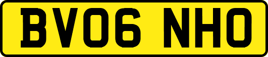 BV06NHO