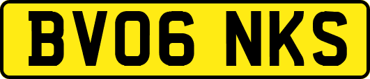 BV06NKS