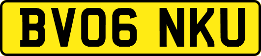 BV06NKU