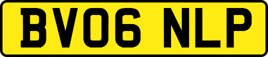 BV06NLP