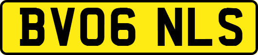 BV06NLS