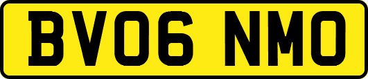 BV06NMO