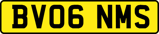 BV06NMS