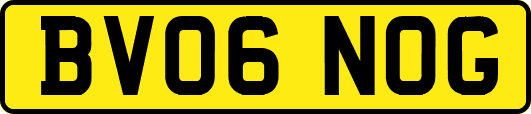 BV06NOG