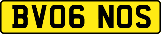 BV06NOS
