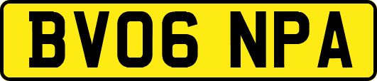 BV06NPA