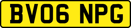 BV06NPG
