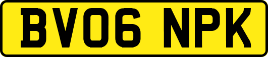 BV06NPK