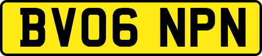 BV06NPN