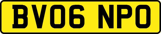 BV06NPO