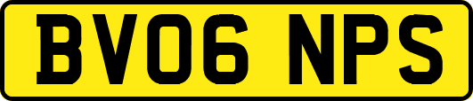 BV06NPS