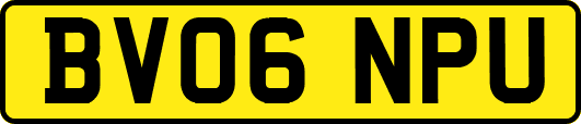 BV06NPU