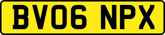 BV06NPX
