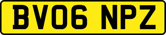 BV06NPZ