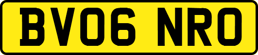BV06NRO